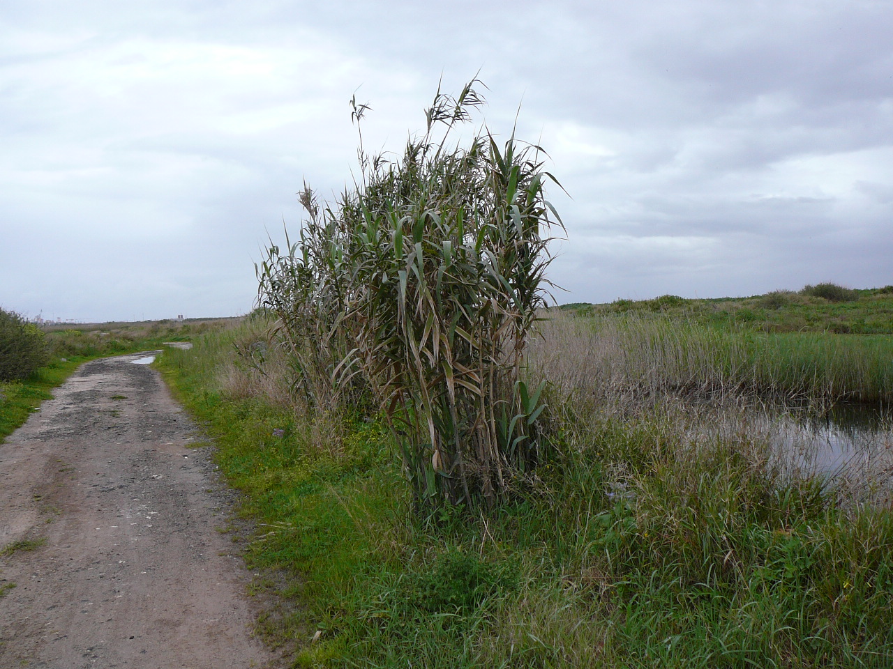 Lisbonne - Vila Franca de Xira La vallée du rio Trancão Le chemin