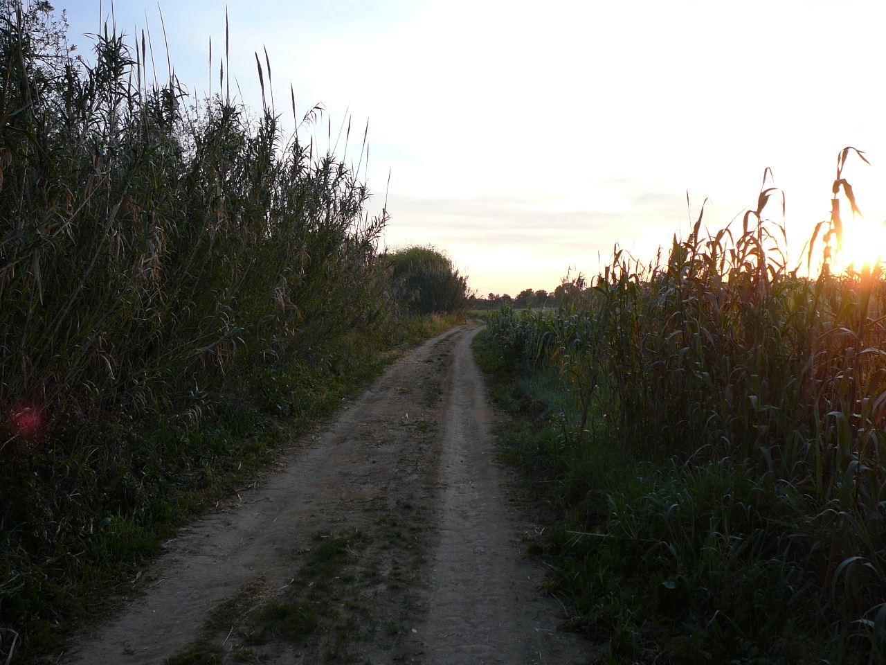 Azambula - Santarèm Le chemin du matin 