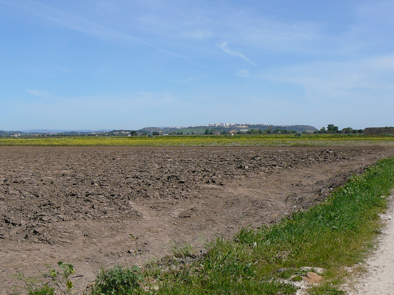 Azambula - Santarèm Santarèm à l'horizon 