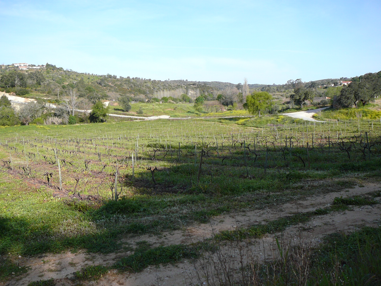 Santarèm - Monsanto Près de Azoia de Baixo 