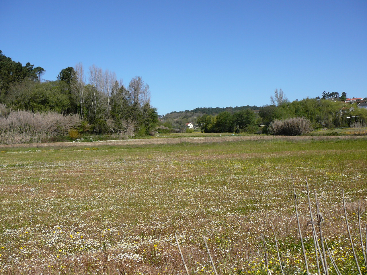 Fatima - Caxarias La campagne avant Caxarias 