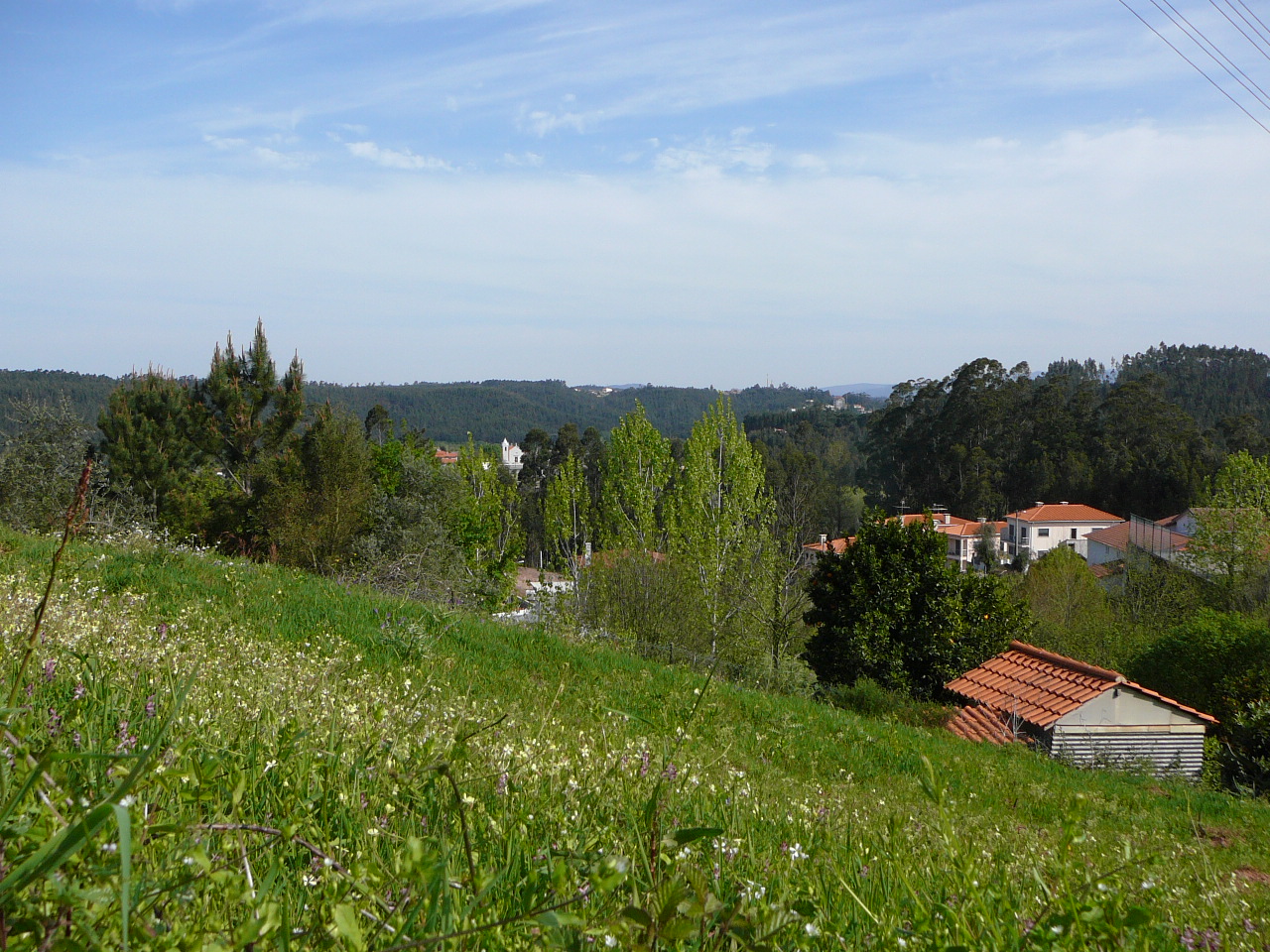 Avelãs de Caminho - Albergaria a Velha Après Mourisca do Vouga 