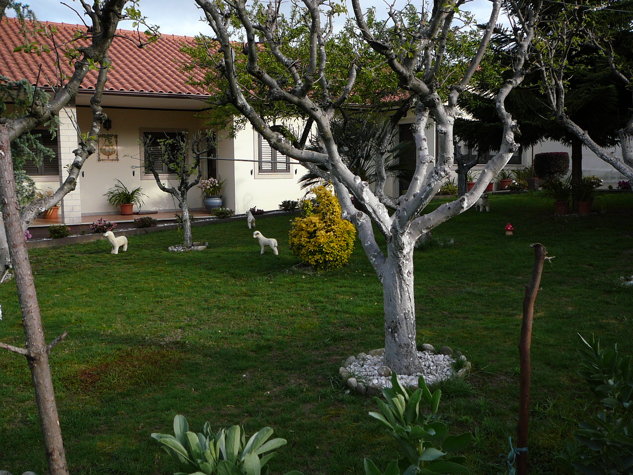 Albergaria a Velha - São João da Madeira Jardin sans nain 