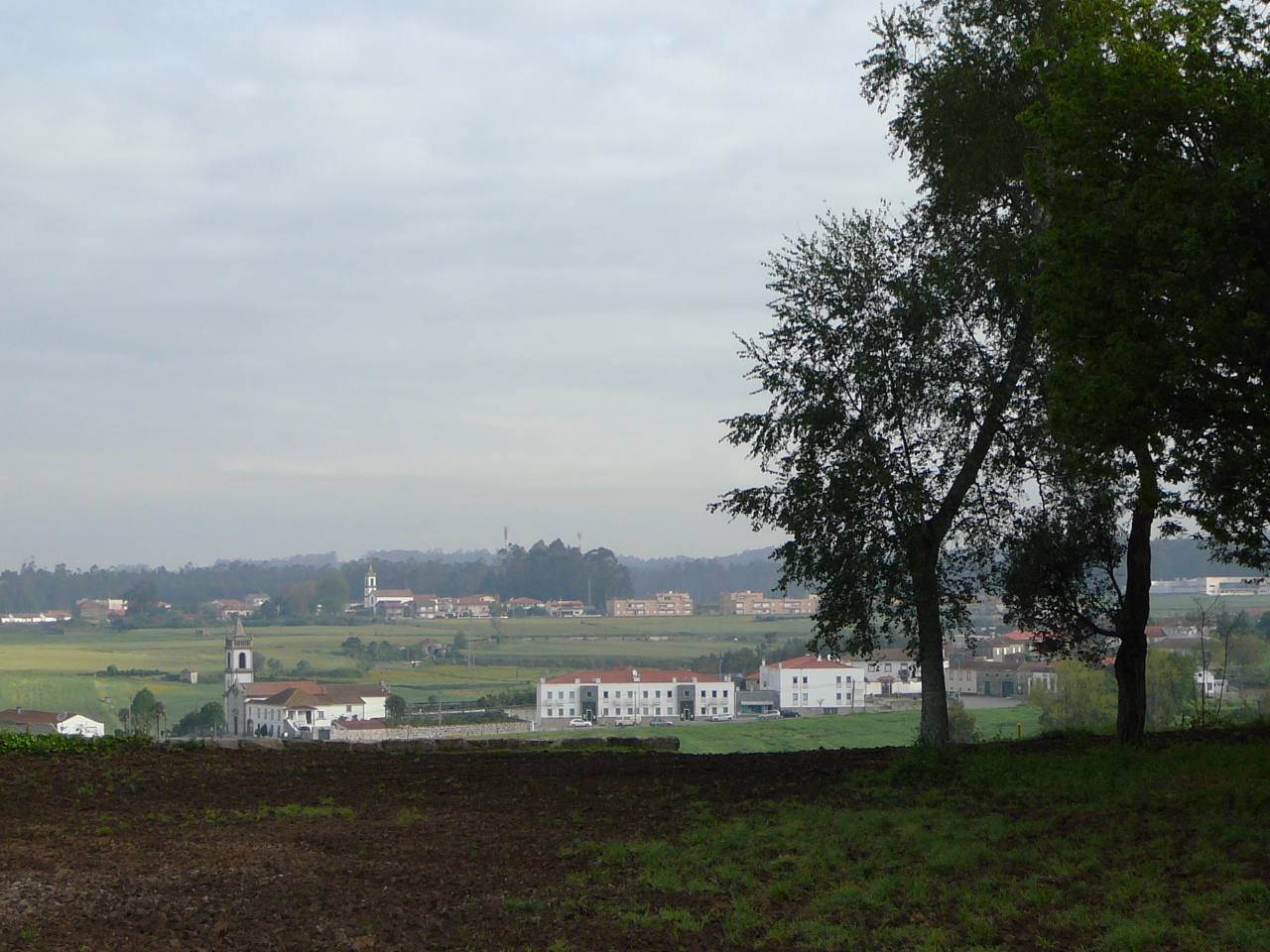 Porto - Vilarinho Près de Gemunda 