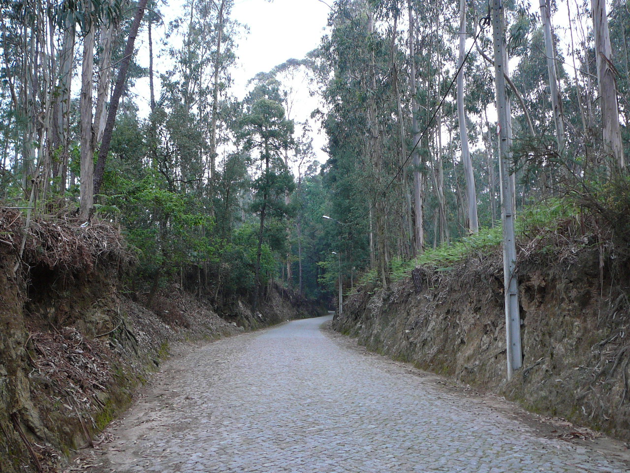 Vilarinho - Barcelos Après le hameau d'Ave 