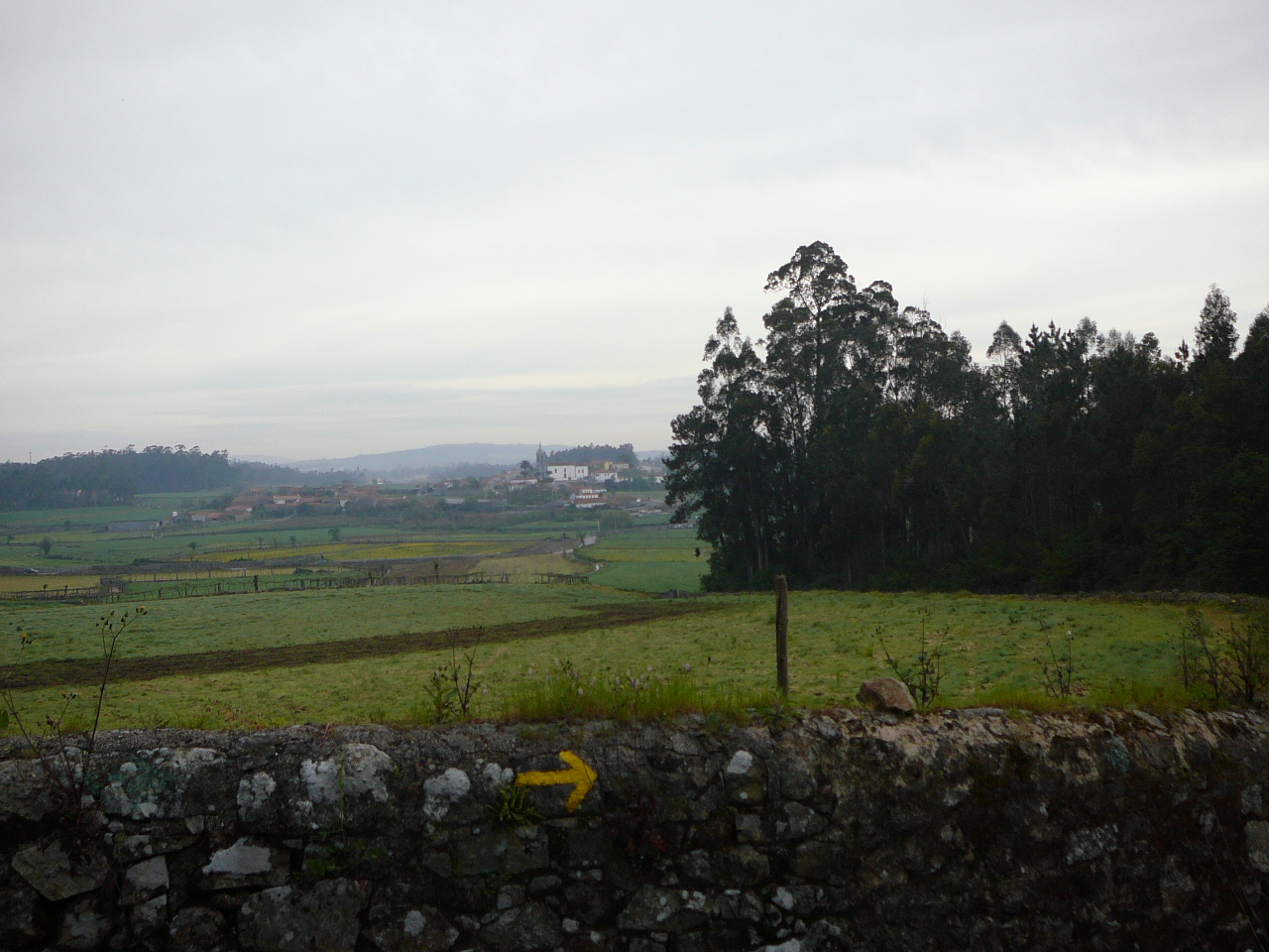 Vilarinho - Barcelos La campagne du côté d'Arcos 
