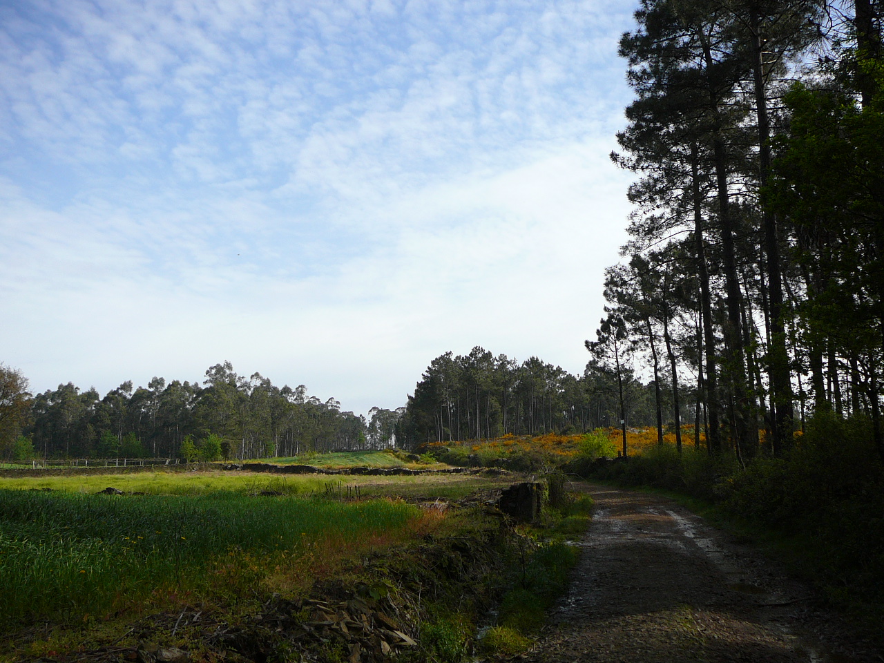 Vilarinho - Barcelos Avant Pereira 