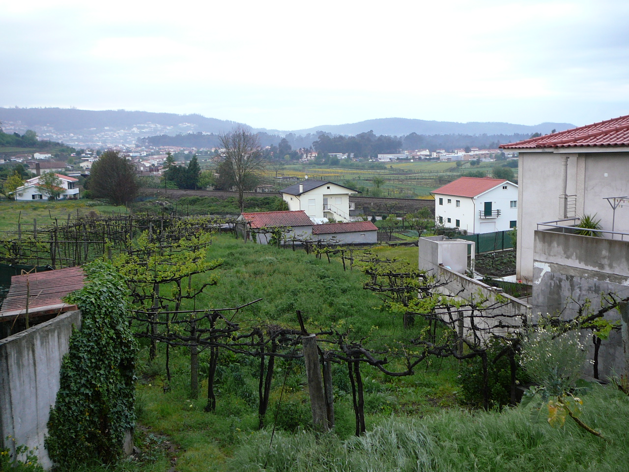 Barcelos - Ponte  de Lima La campagne après Barcelos 