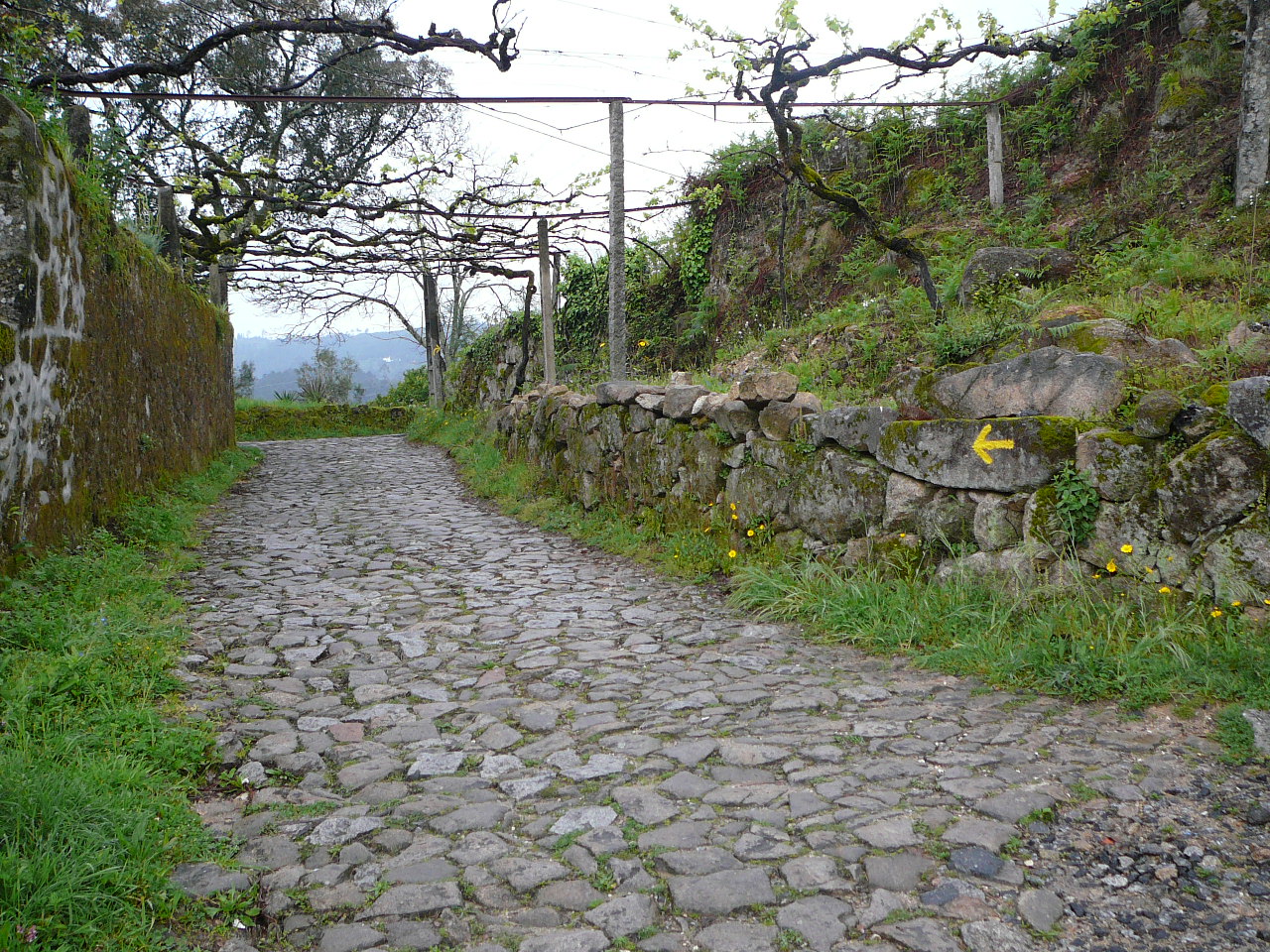 Barcelos - Ponte  de Lima Après Vitorino dos Piães 