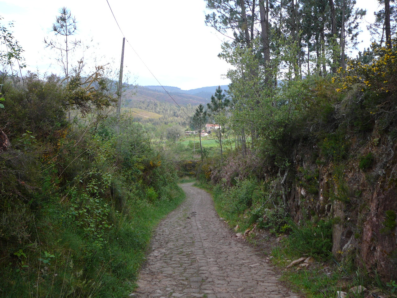 Ponte  de Lima - Rubiães Chemin empierré 