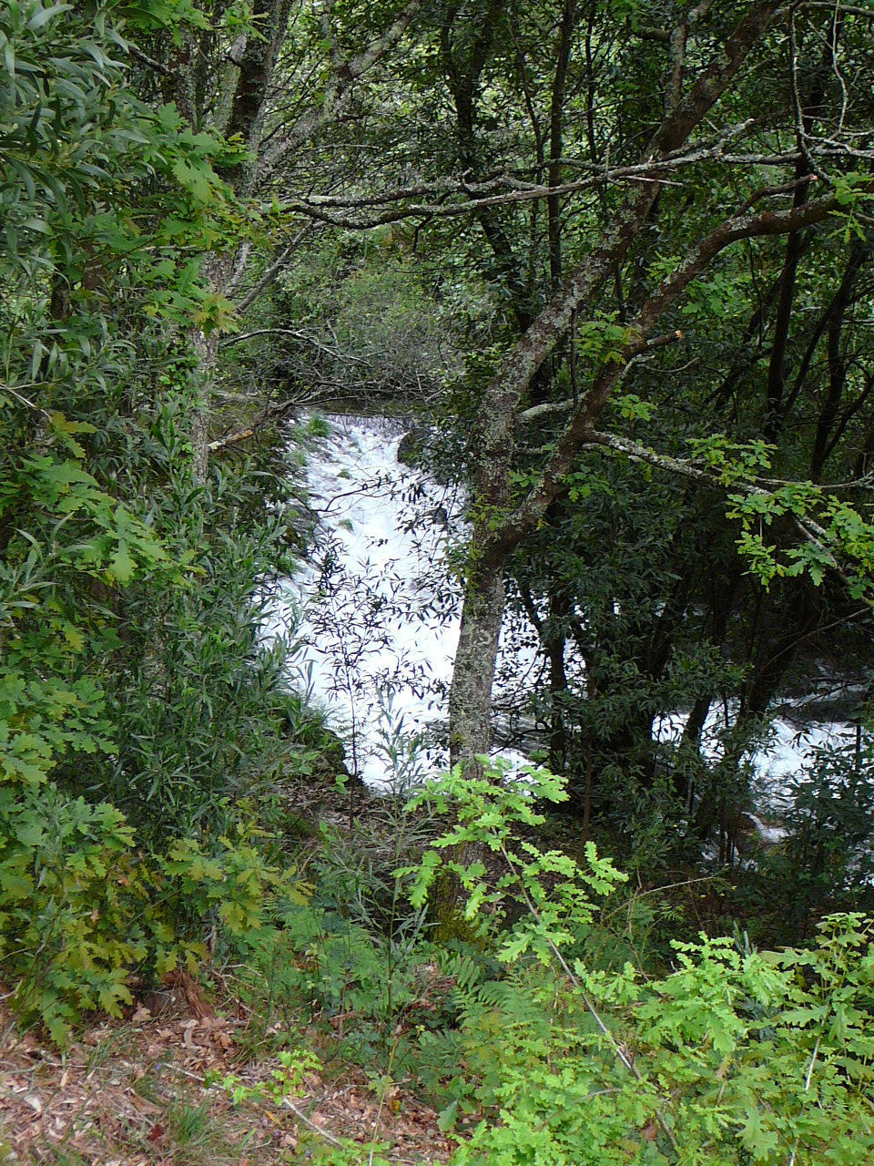 Ponte  de Lima - Rubiães Le rio Labruja 