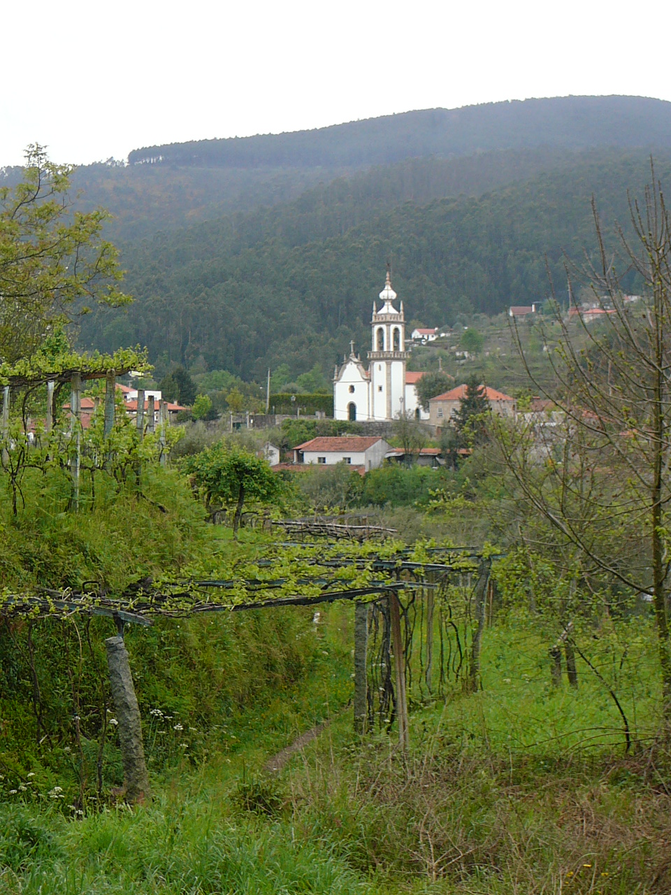 Ponte  de Lima - Rubiães Image de campagne 