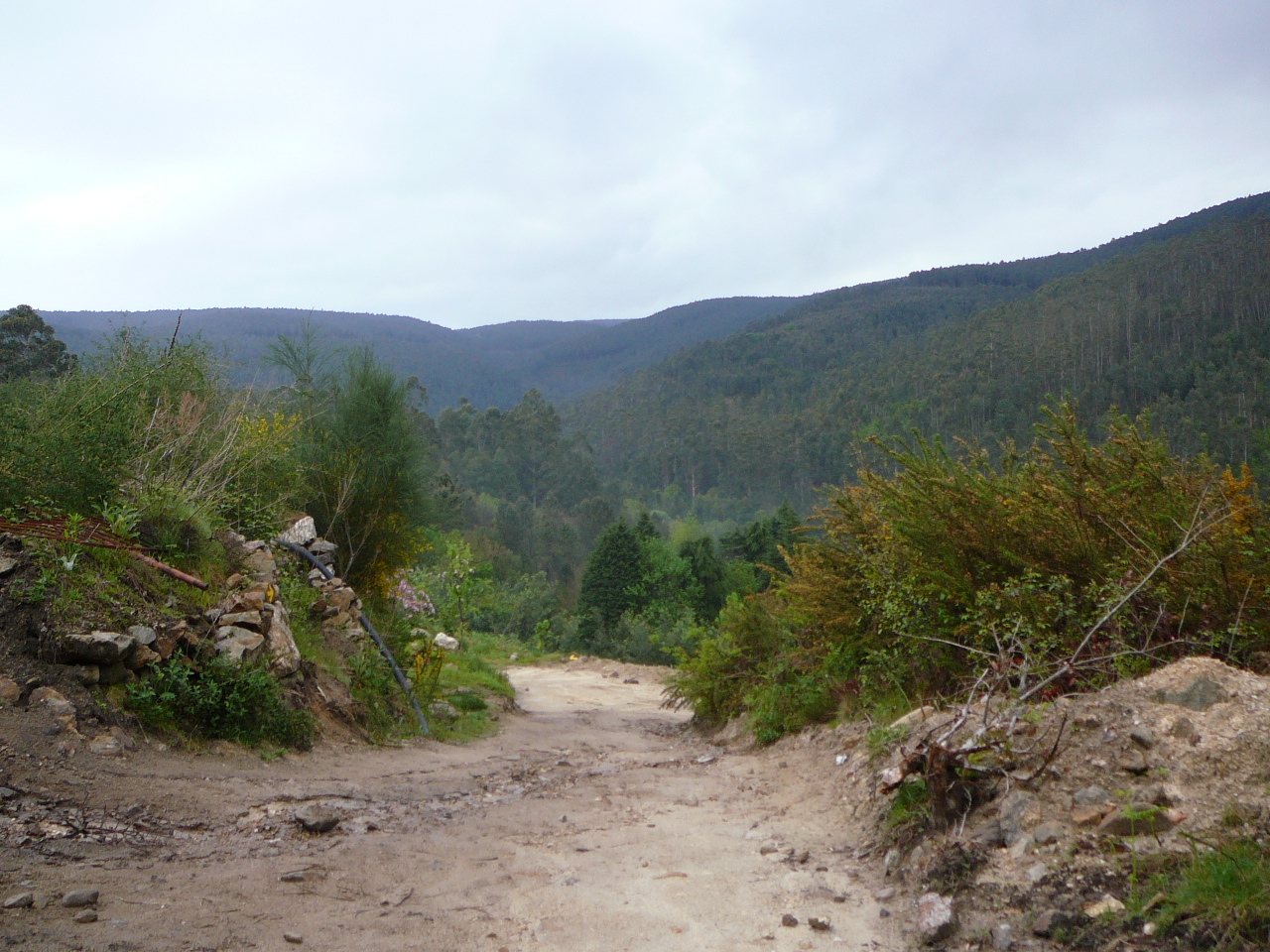 Ponte  de Lima - Rubiães Après Labruja 
