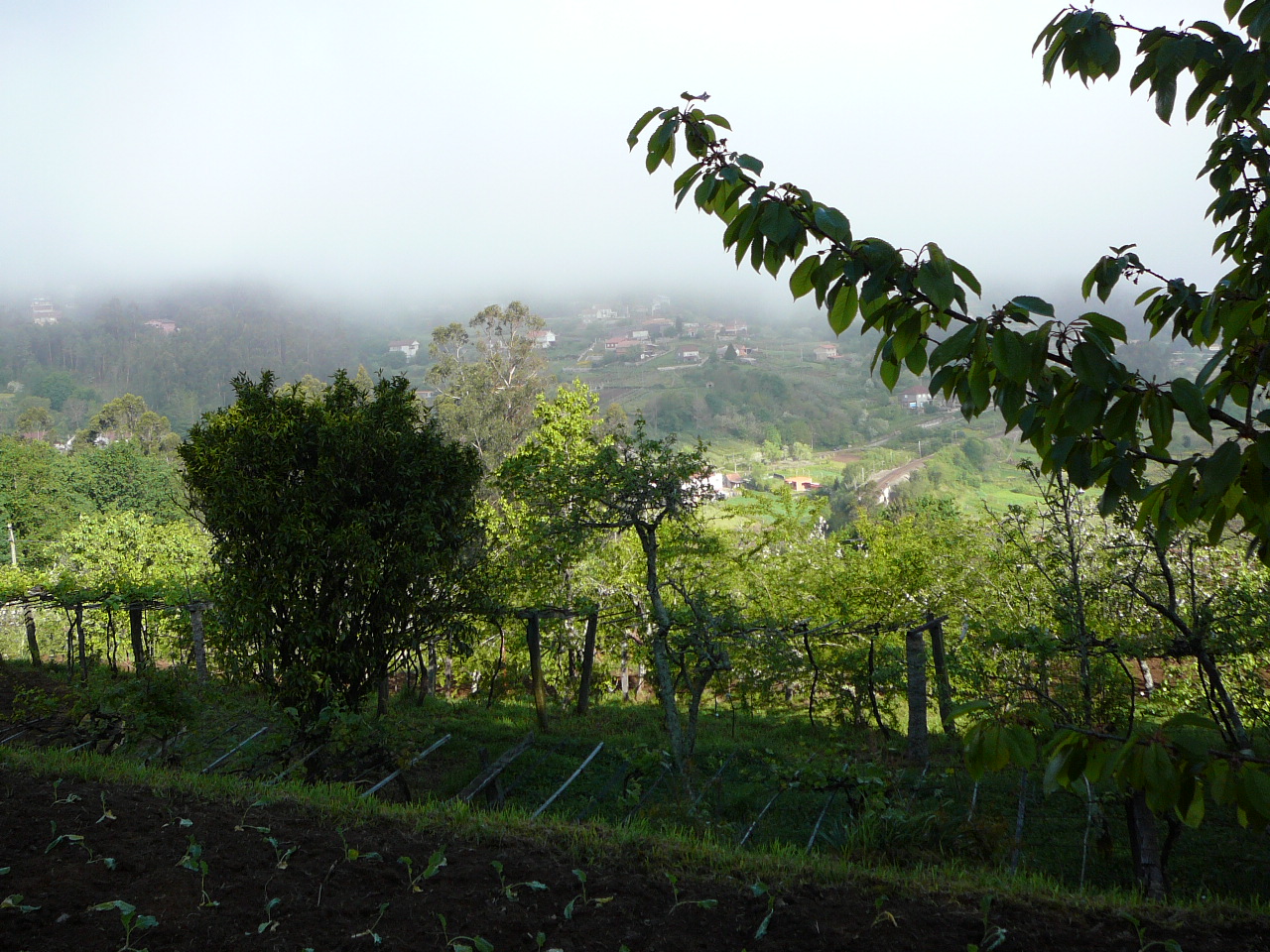 O Porriño - Redondela La vallée du río Louro 