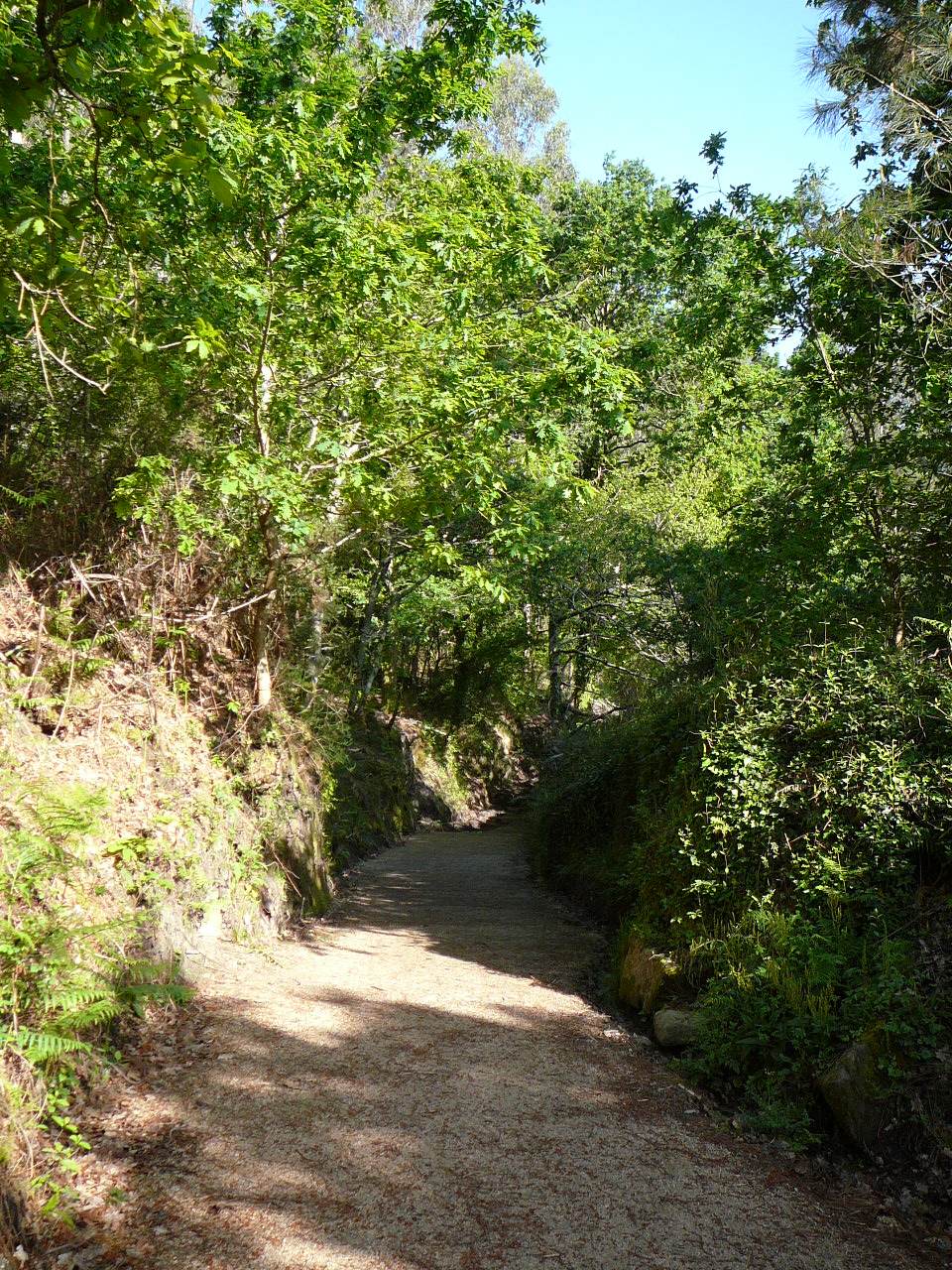 Redondela - Ponteverdra Un chemin agréable 