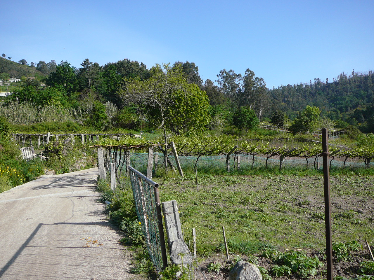 Redondela - Ponteverdra Le parcours du côté de Canicouva 