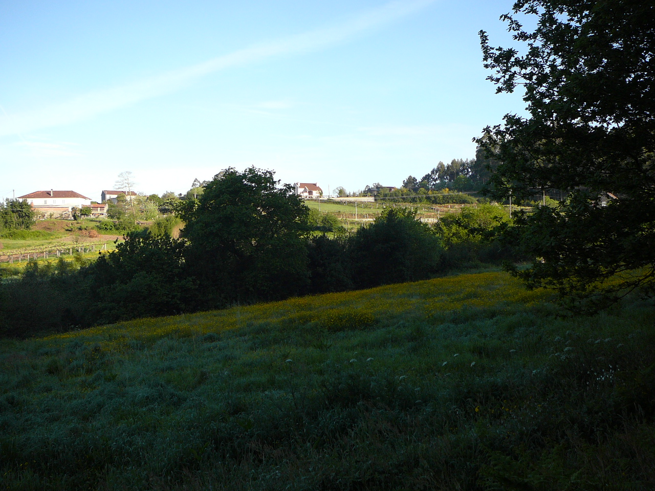 Ponteverdra - Caldas de Reis La campagne après Alba 