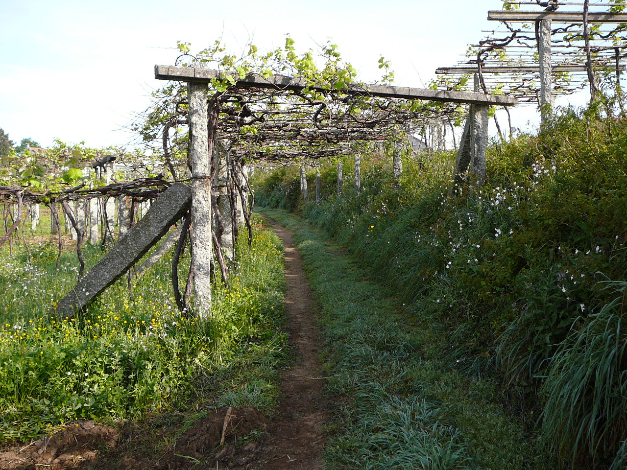 Ponteverdra - Caldas de Reis Un agréable chemin 