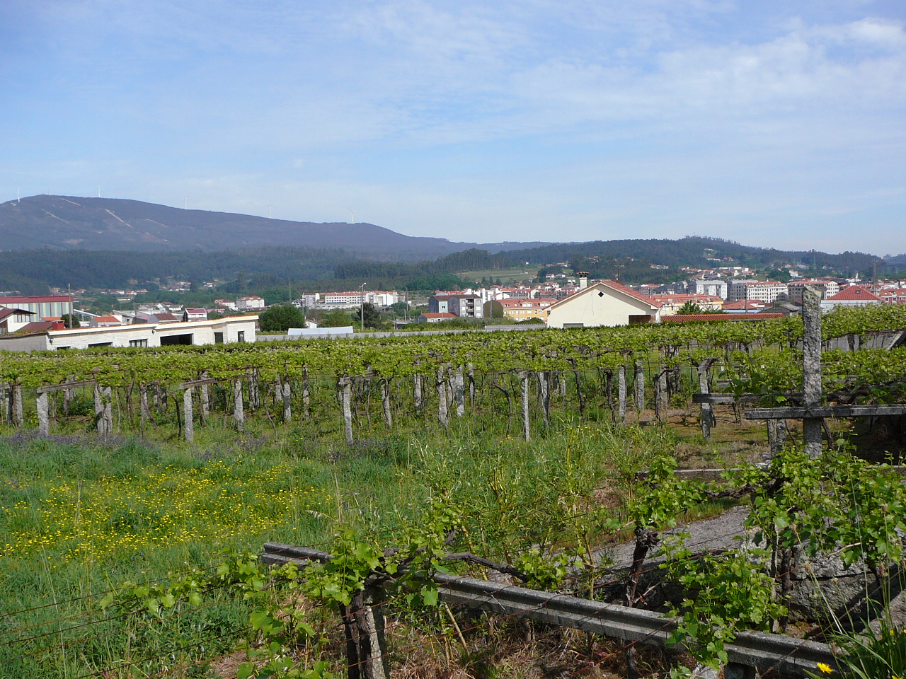 Ponteverdra - Caldas de Reis Près de Caldas de Reys 