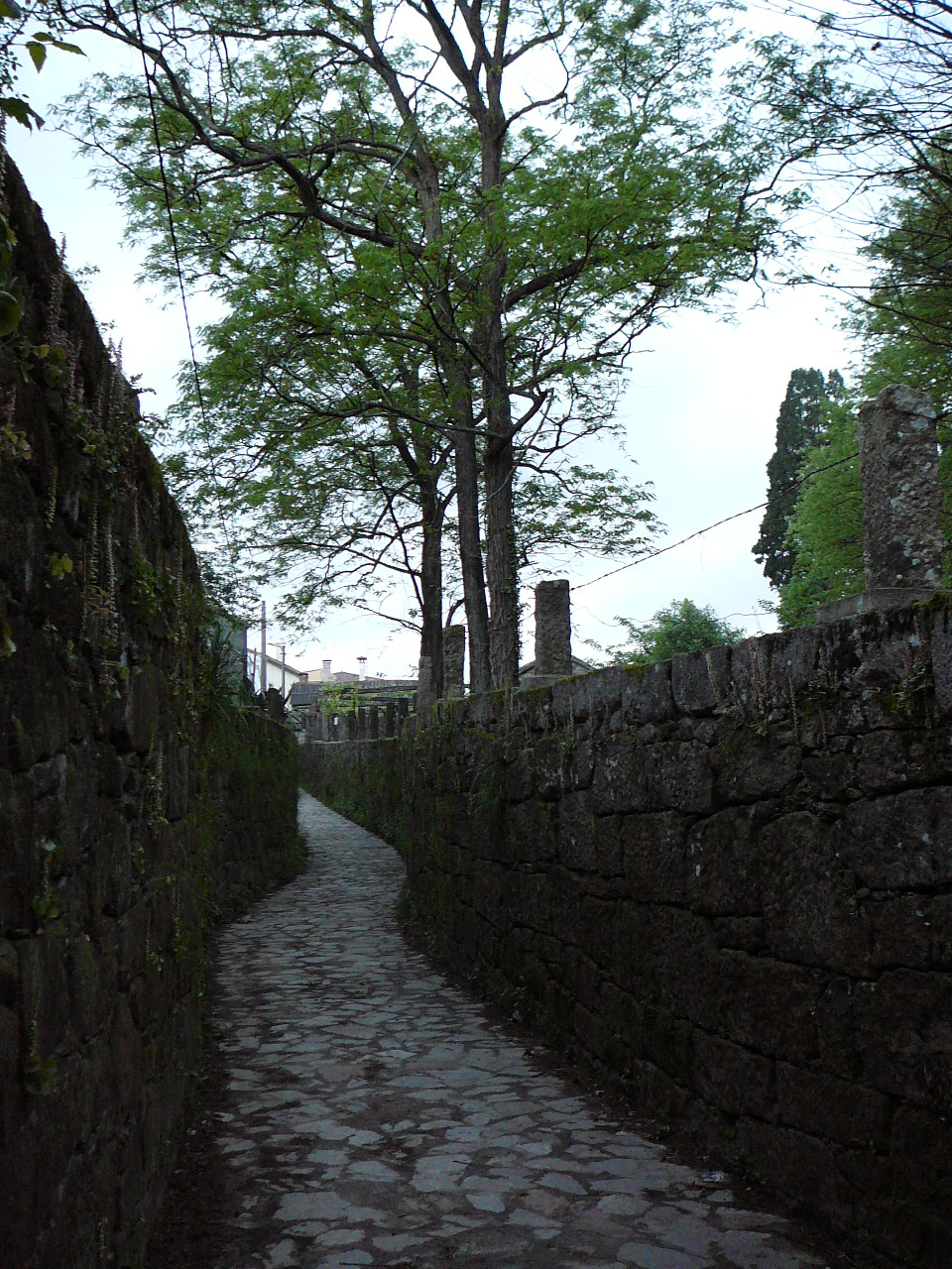 Padrón - Santiago Etroit chemin près de Padrón 