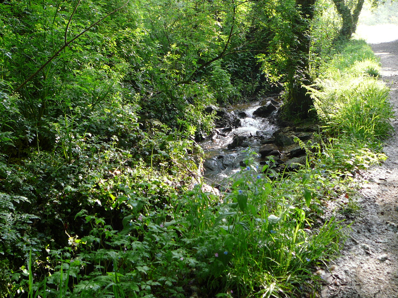 Padrón - Santiago Un ru au bord du chemin 