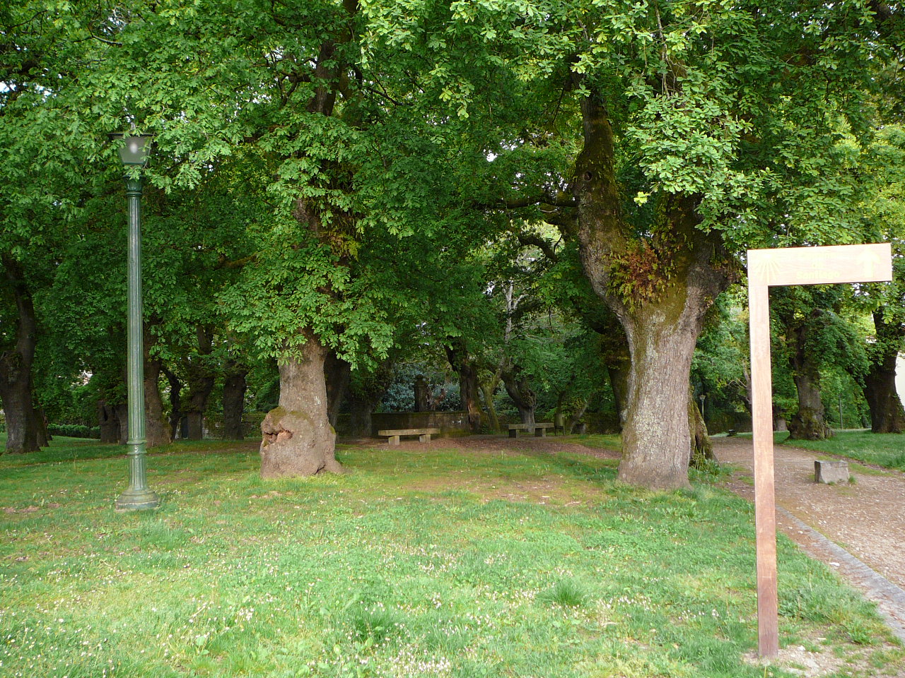 Santiago - Negreira Chenaie de San Lourenzo 