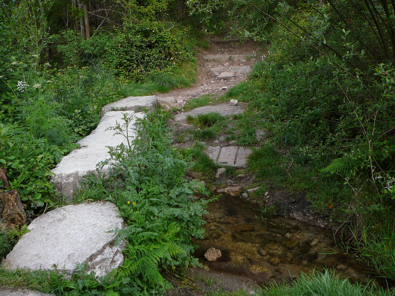 Santiago - Negreira Première montée du chemin de Fisterra 