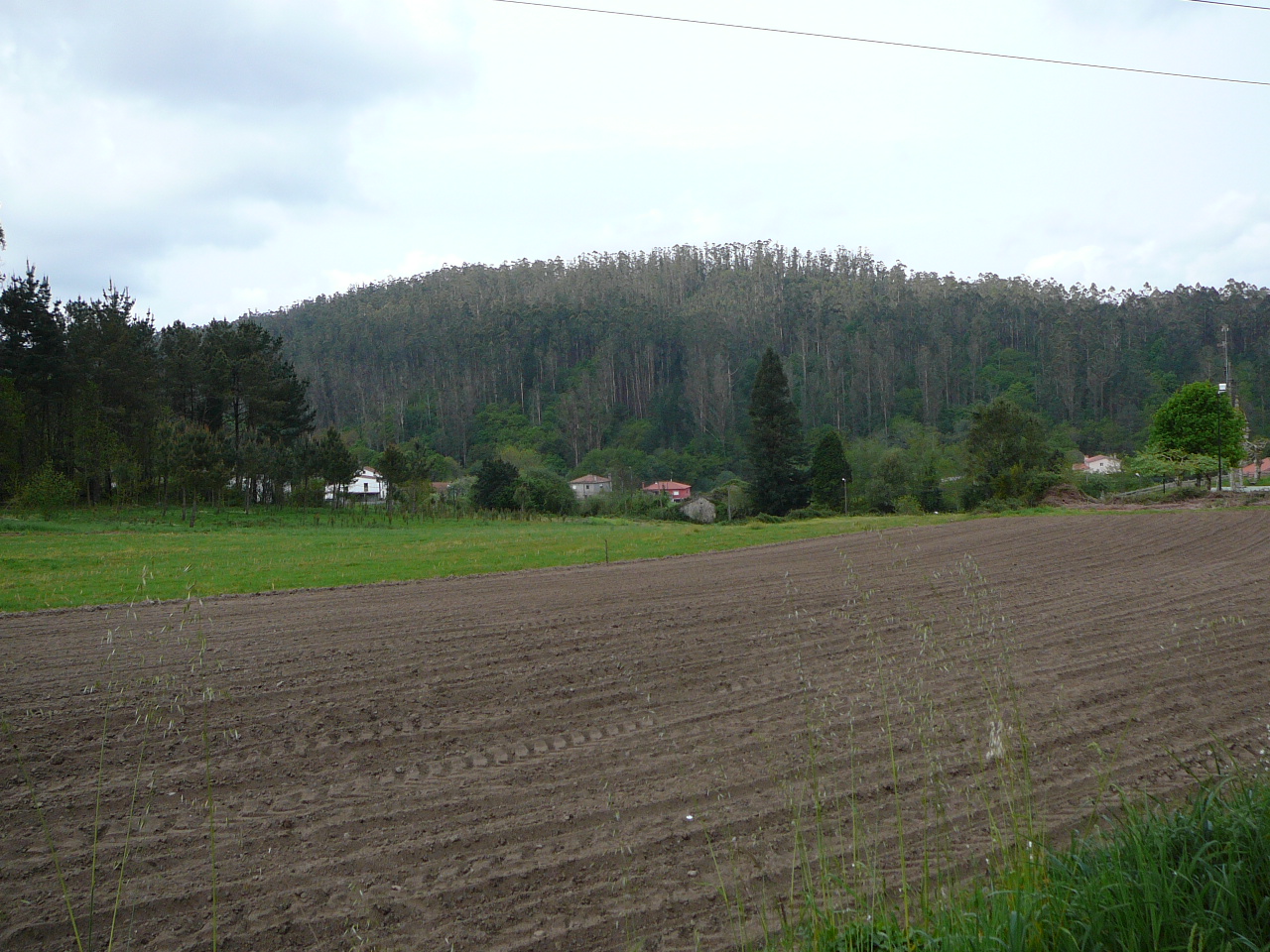 Santiago - Negreira Campagne de Galice 