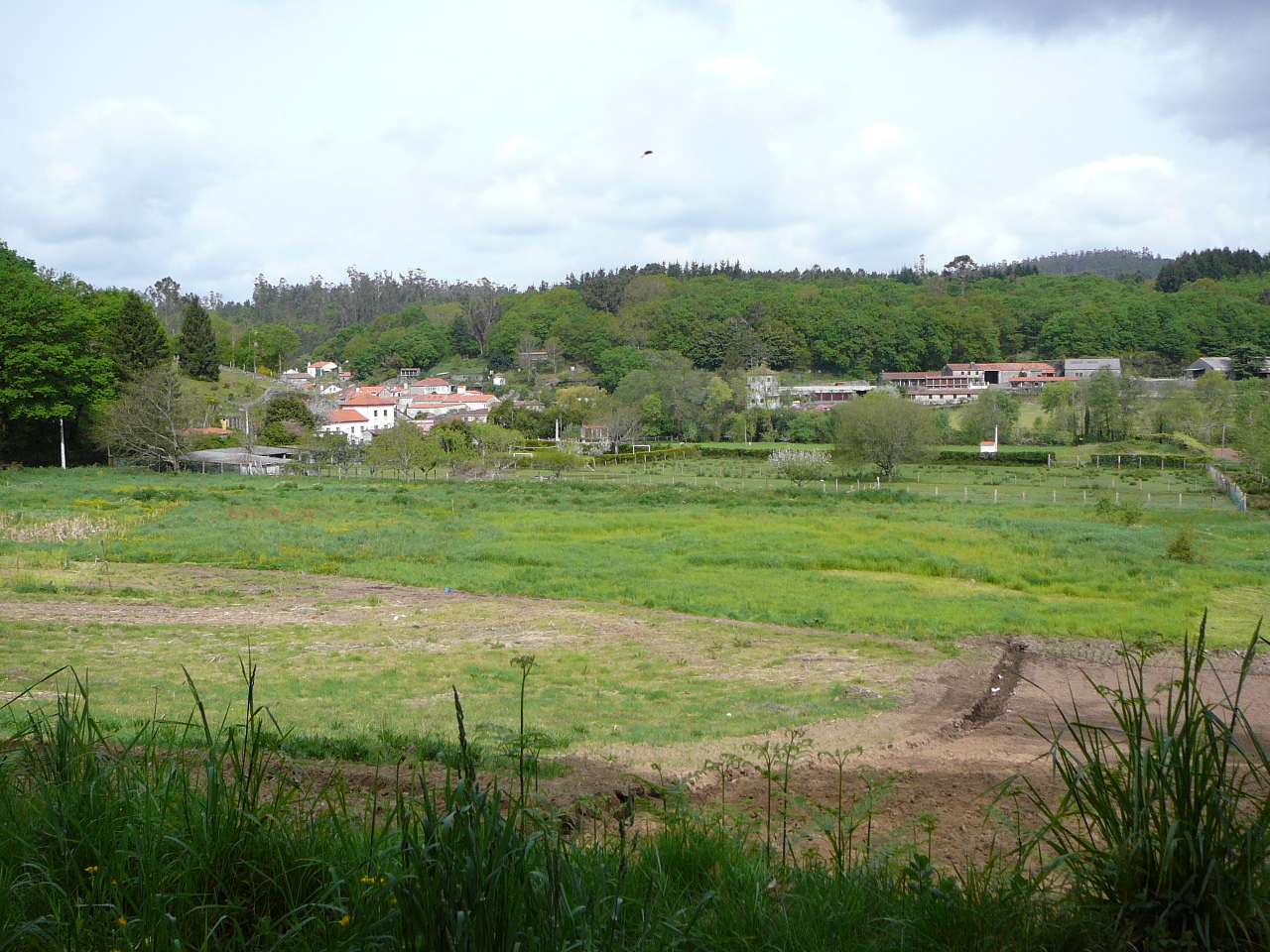 Santiago - Negreira Campagne de Galice 