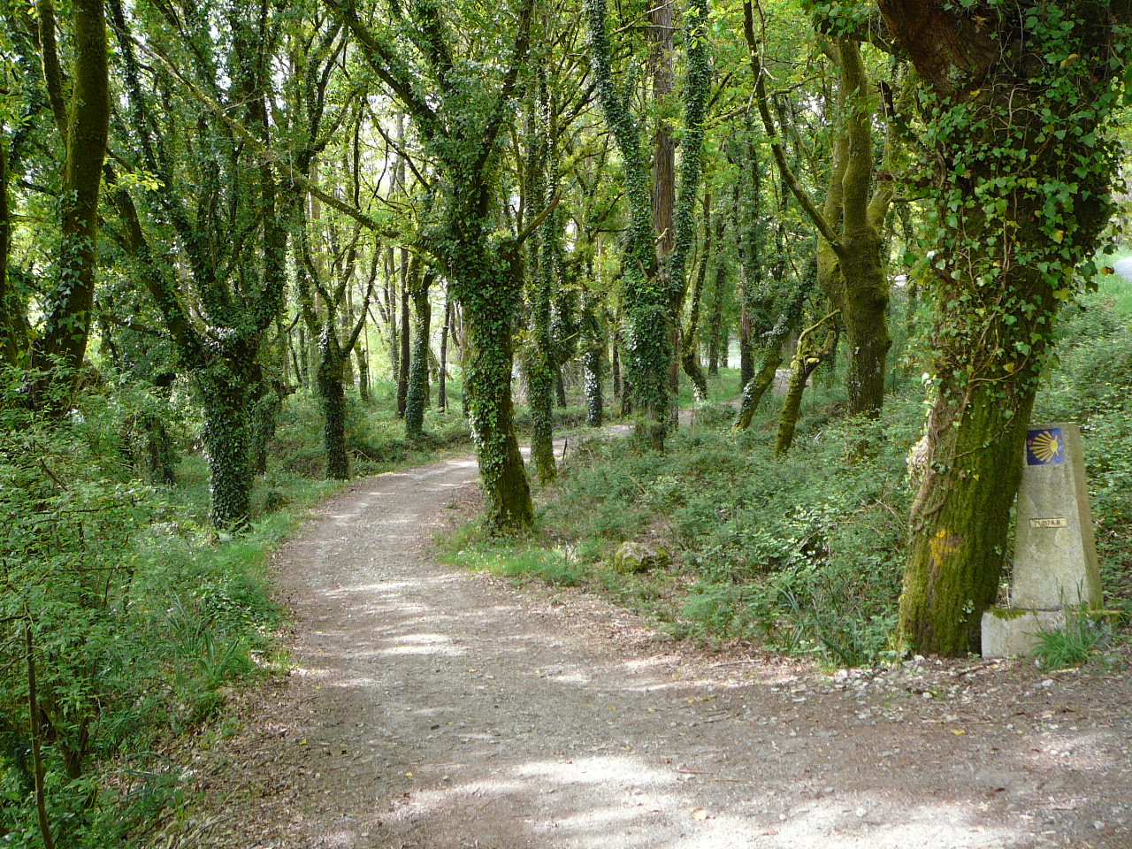 Santiago - Negreira Le long du río Tambre 