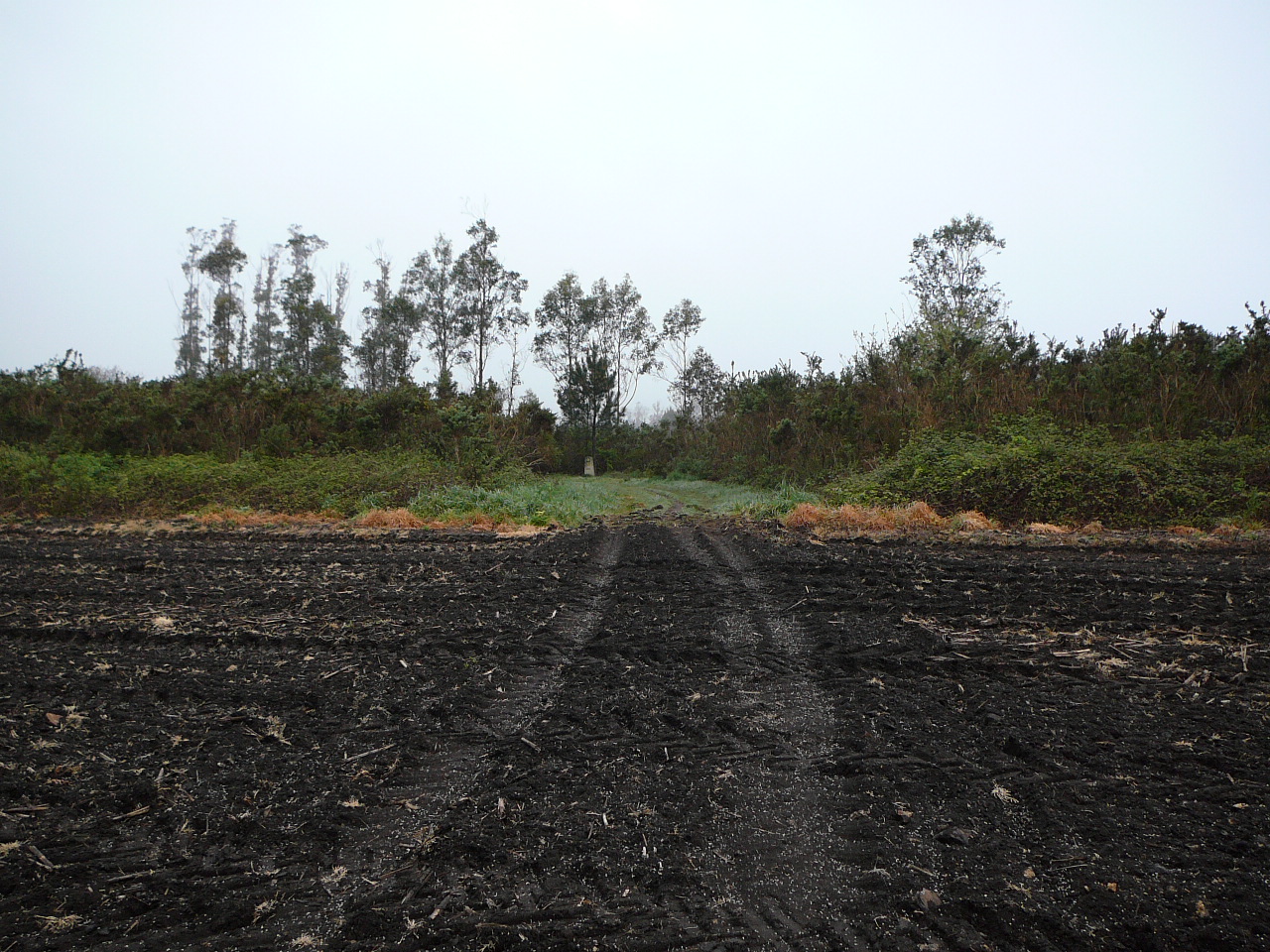 Negreira - Olveira Appropriation du chemin 