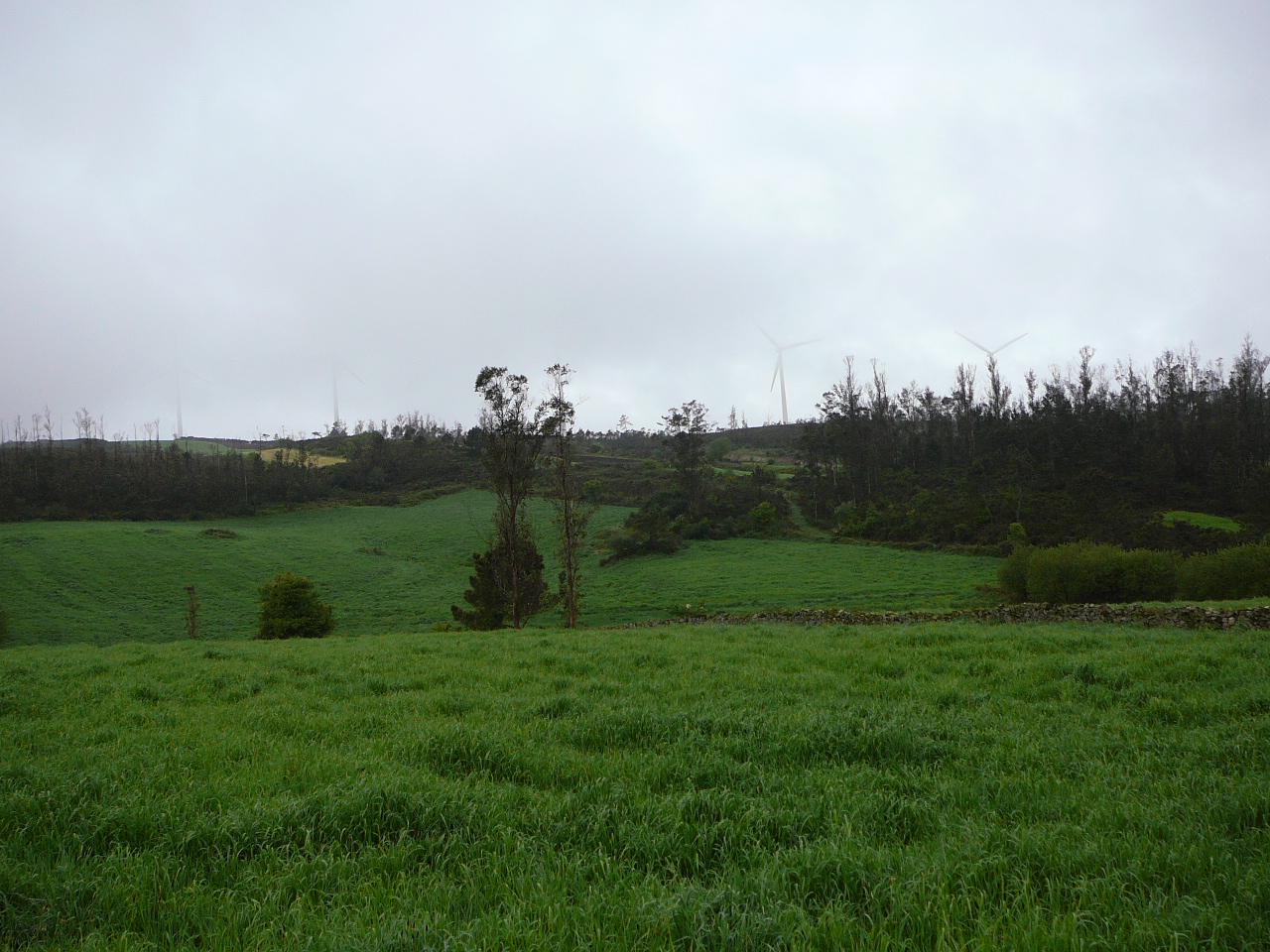 Negreira - Olveira Du côté de Camiño Real 