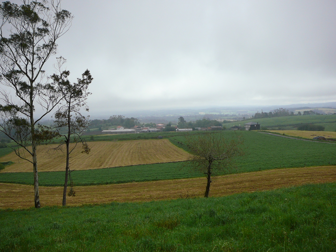Negreira - Olveira Horizon de Mazaricos 