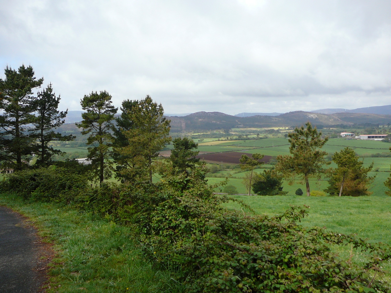 Negreira - Olveira Après Sanfoga 