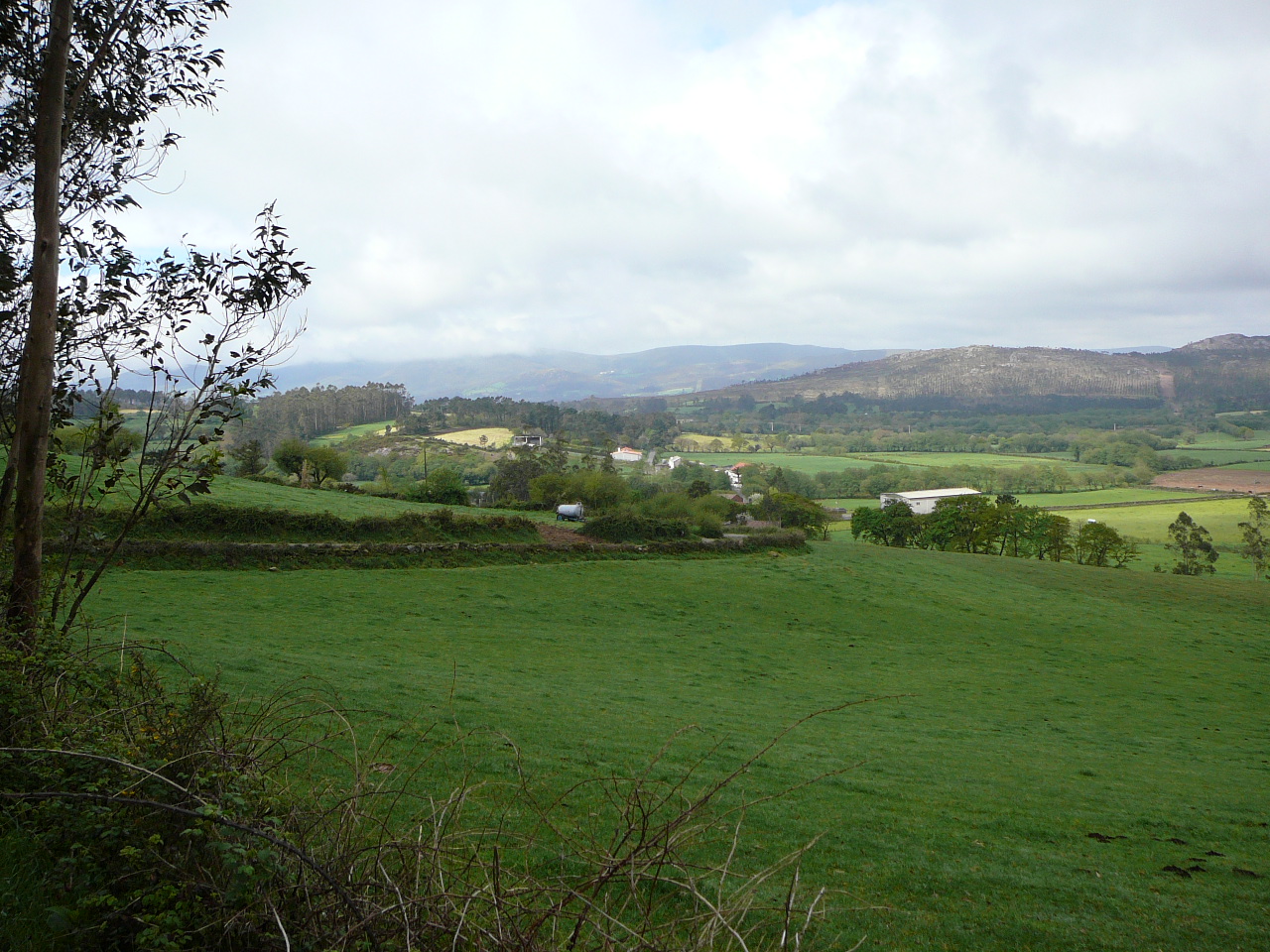 Negreira - Olveira Paysage vers Olveira 