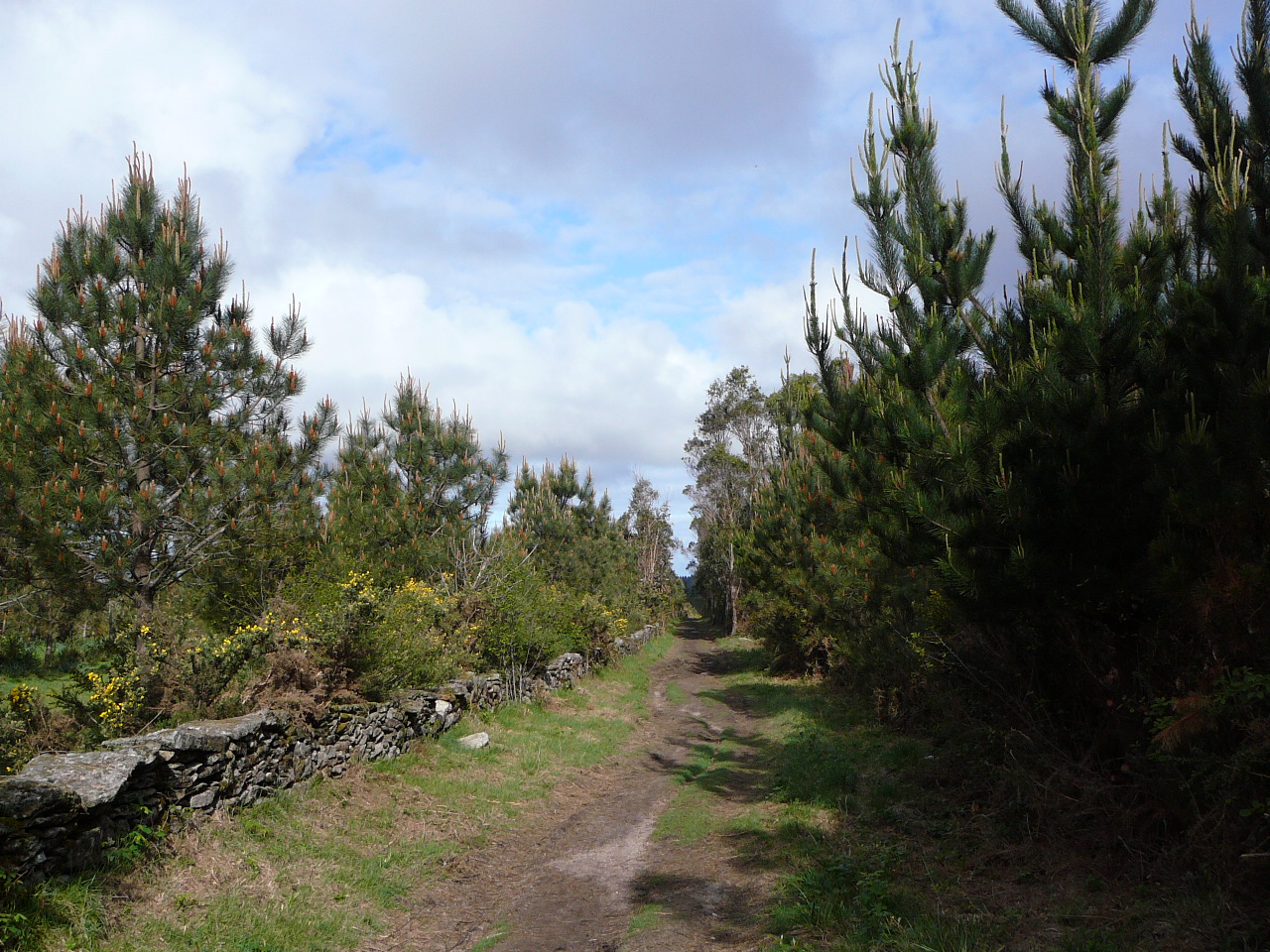 Olveira - Cee Un très agréable chemin 