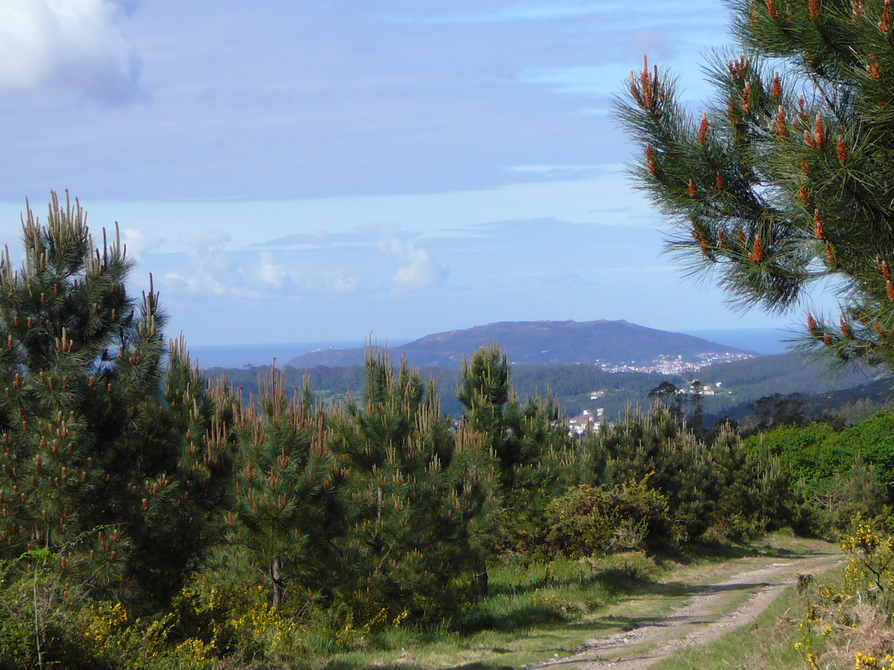 Olveira - Cee En direction de Fisterra 