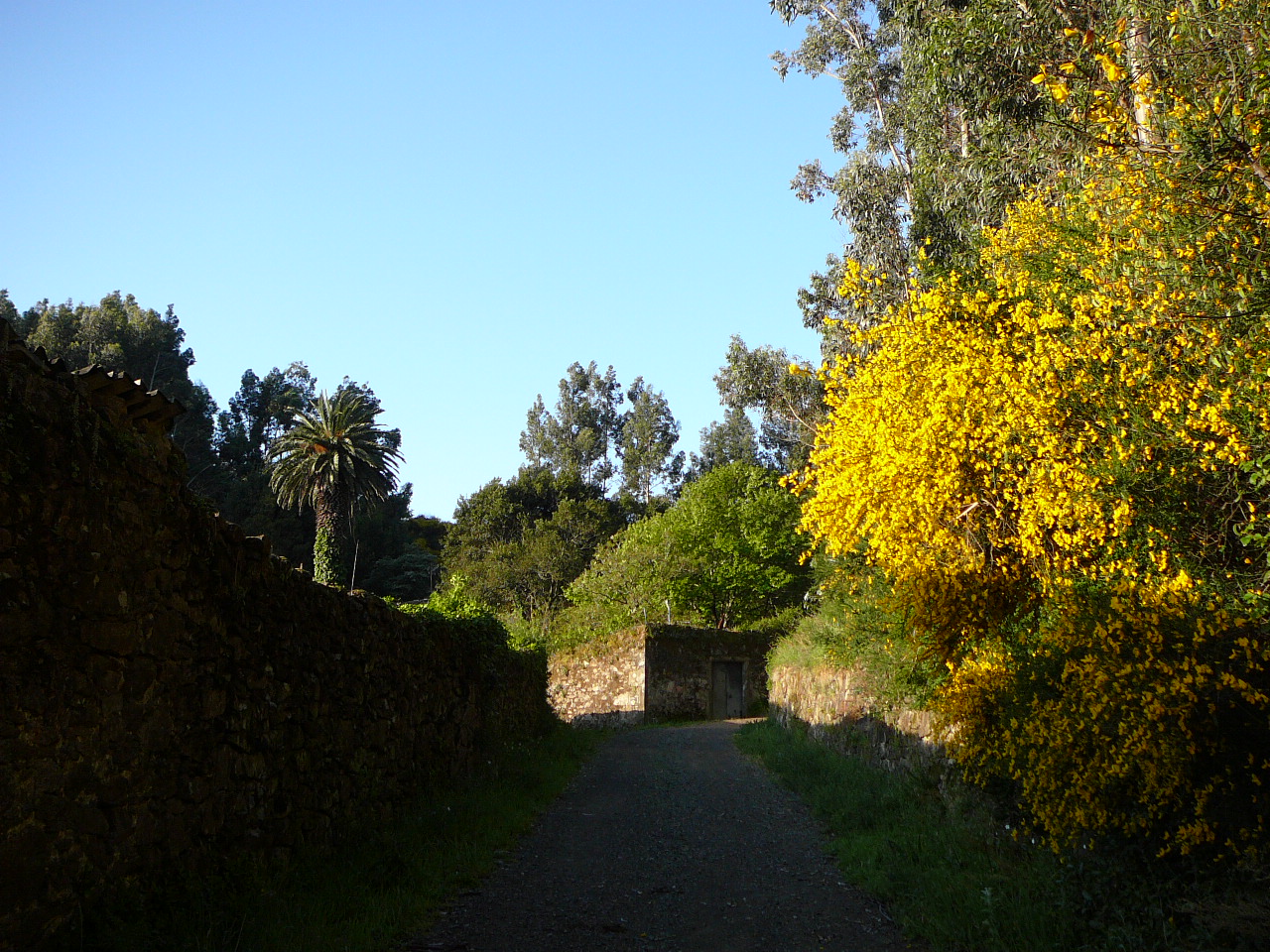 Olveira - Cee Vers San Roque 