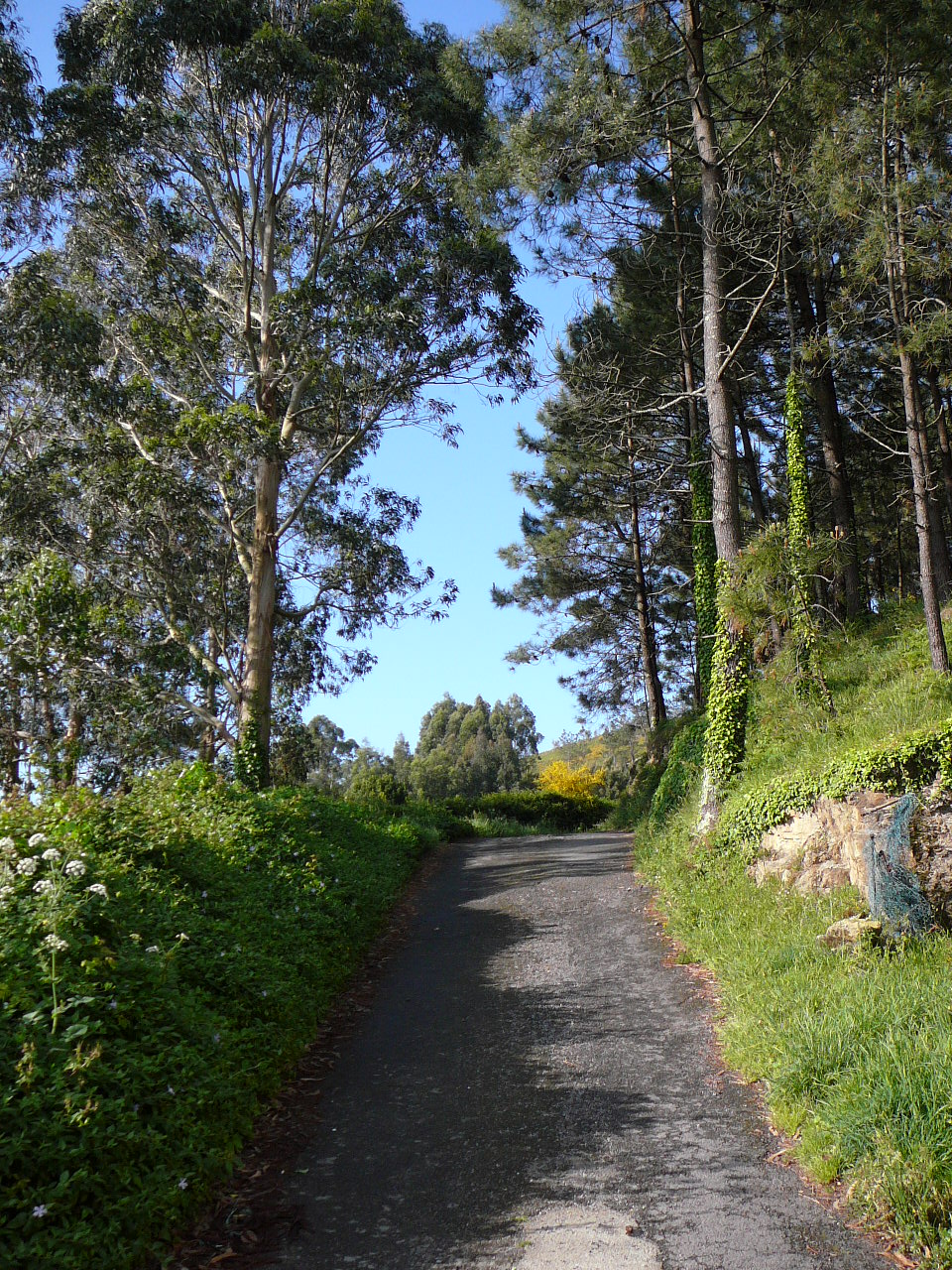 Olveira - Cee La suite du chemin vers Fisterra 