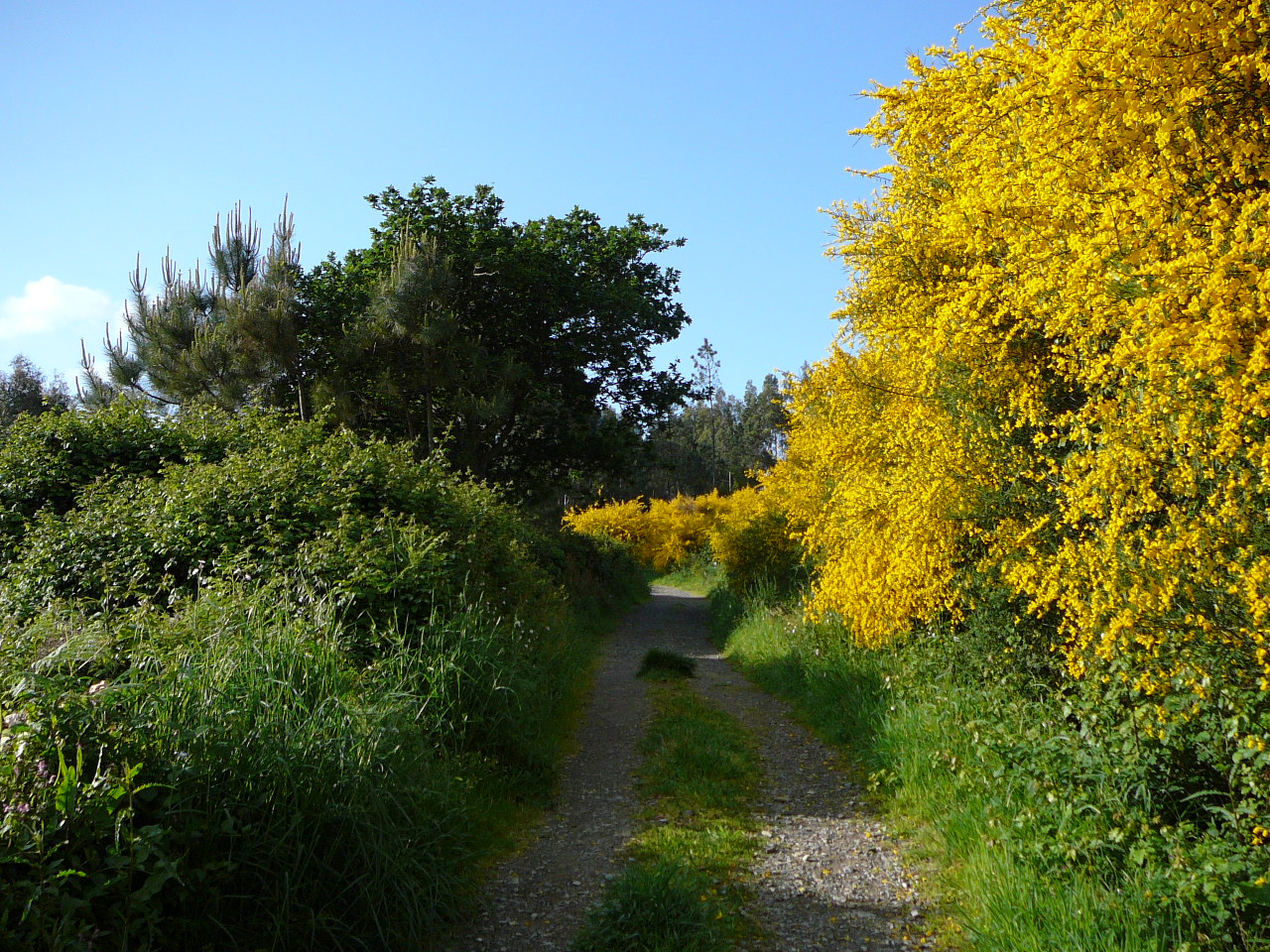 Olveira - Cee Couleurs du chemin 