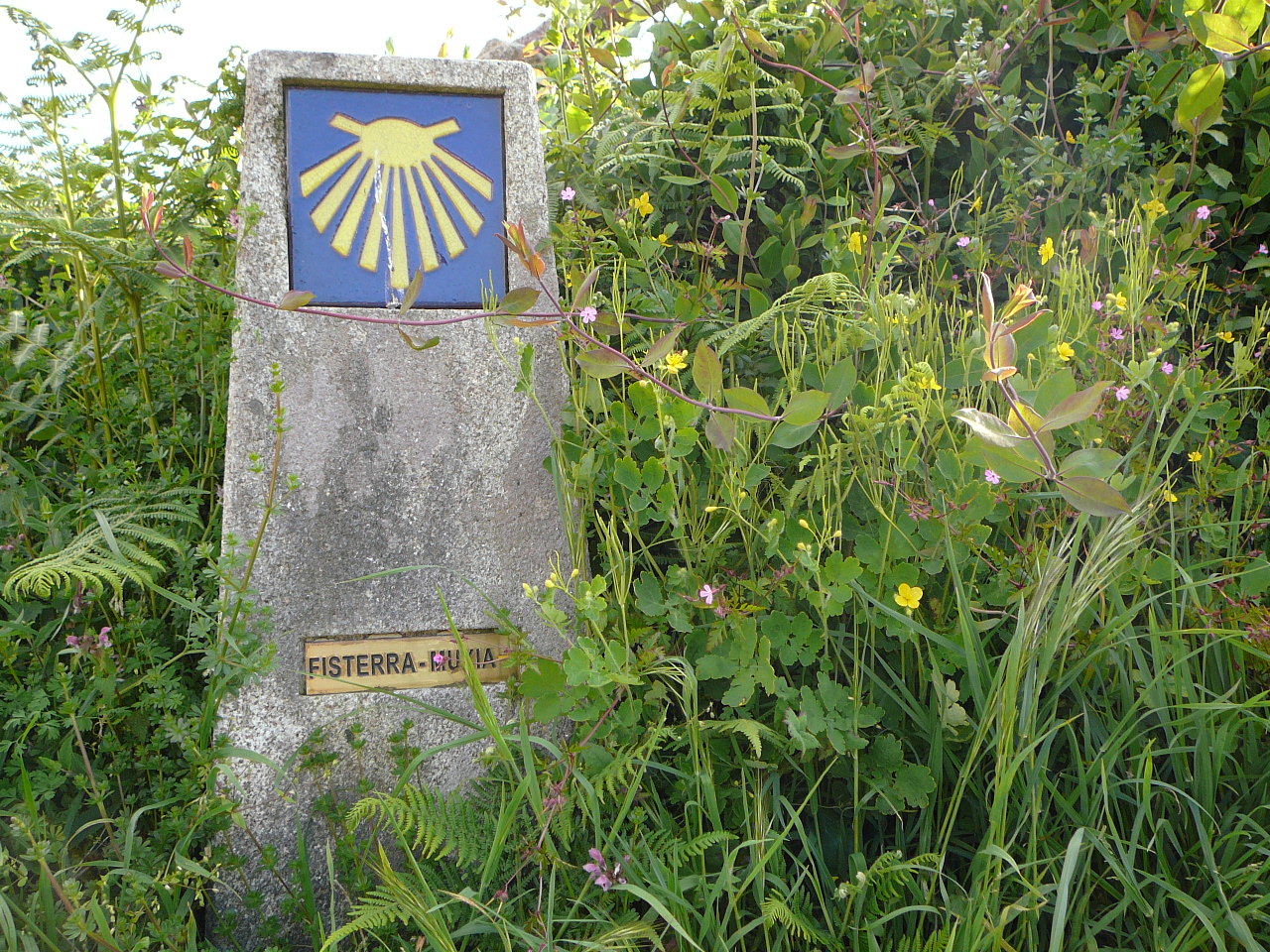 Olveira - Cee Borne sur le chemin 