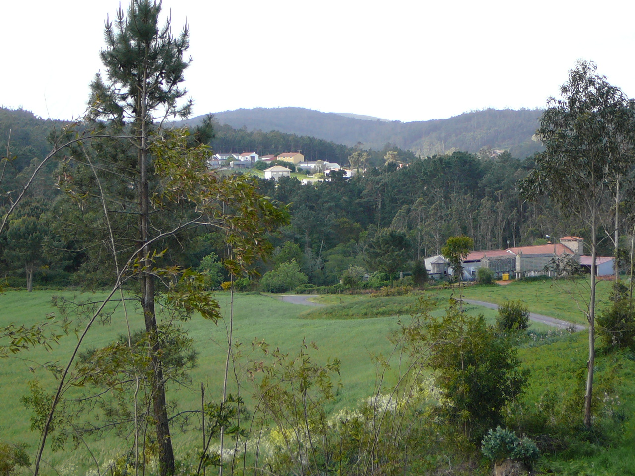 Olveira - Cee Vers Castro 