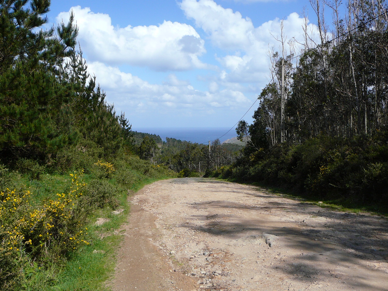 Olveira - Cee Avant Martineto Option B du Chemin