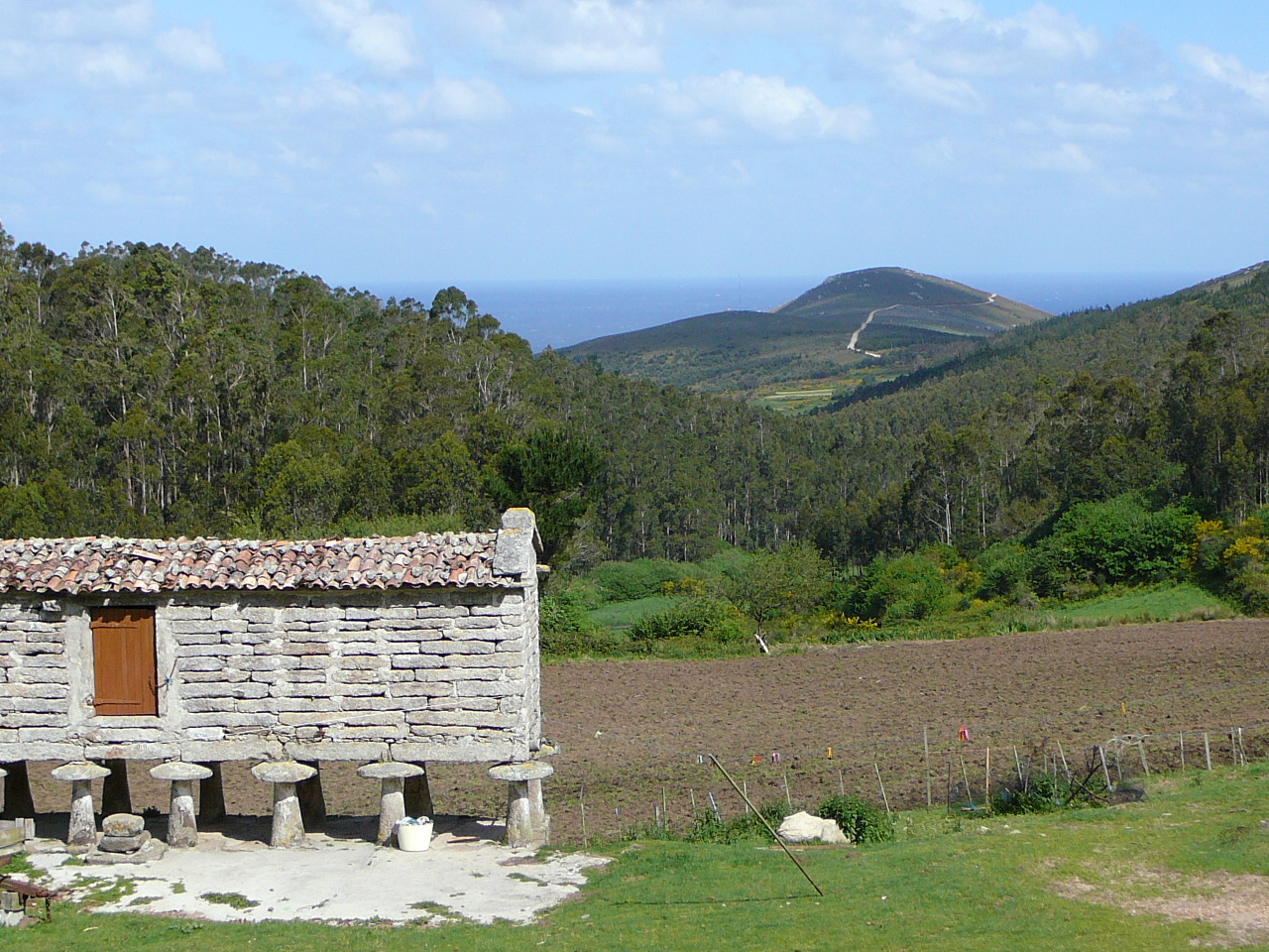 Olveira - Cee Près de Martineto 