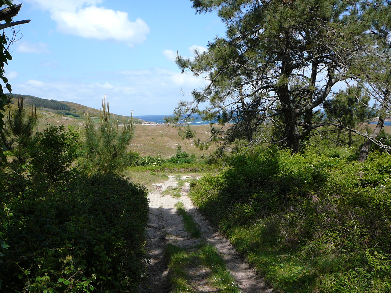 Olveira - Cee Chemin avant la plage de Lourido 